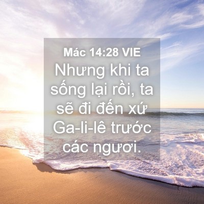 Picture 04 - Mác 14:28 VIE - Nhưng khi ta sống lại rồi, ta sẽ đi - Bible Verse Picture