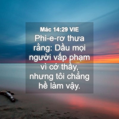 Picture 04 - Mác 14:29 VIE - Phi-e-rơ thưa rằng: Dầu mọi người - Bible Verse Picture