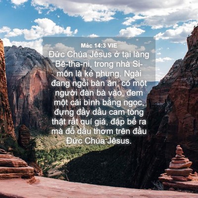 Picture 04 - Mác 14:3 VIE - Đức Chúa Jêsus ở tại làng Bê-tha-ni, - Bible Verse Picture