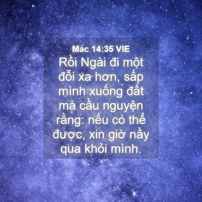 Picture 04 - Mác 14:35 VIE - Rồi Ngài đi một đỗi xa hơn, sấp mình - Bible Verse Picture