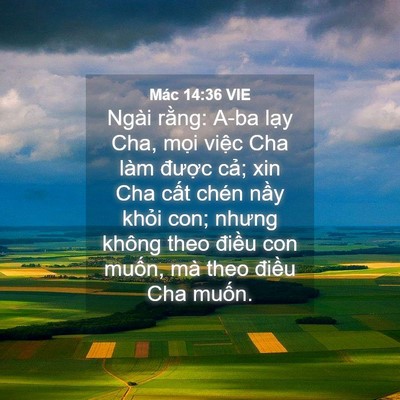 Picture 04 - Mác 14:36 VIE - Ngài rằng: A-ba lạy Cha, mọi việc Cha - Bible Verse Picture