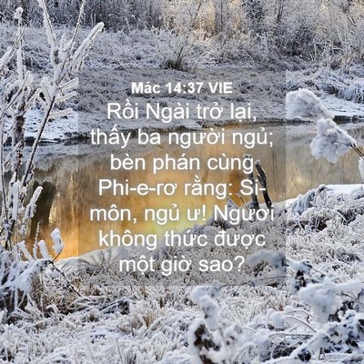 Picture 04 - Mác 14:37 VIE - Rồi Ngài trở lại, thấy ba người - Bible Verse Picture