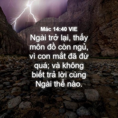Picture 04 - Mác 14:40 VIE - Ngài trở lại, thấy môn đồ còn ngủ, - Bible Verse Picture