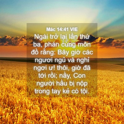 Picture 04 - Mác 14:41 VIE - Ngài trở lại lần thứ ba, phán cùng - Bible Verse Picture