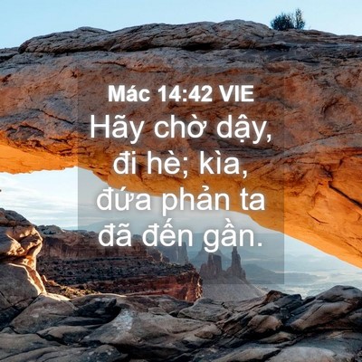 Picture 04 - Mác 14:42 VIE - Hãy chờ dậy, đi hè; kìa, đứa phản ta - Bible Verse Picture