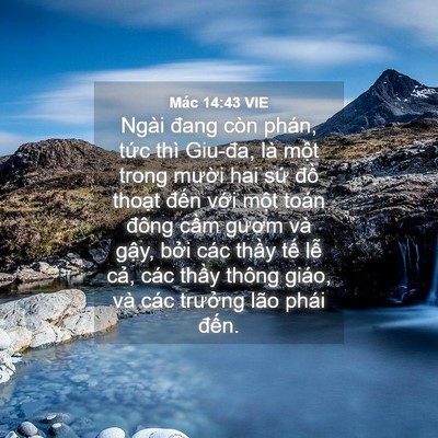 Picture 04 - Mác 14:43 VIE - Ngài đang còn phán, tức thì Giu-đa, là - Bible Verse Picture