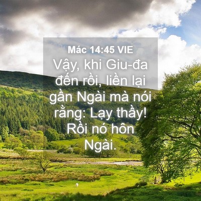 Picture 04 - Mác 14:45 VIE - Vậy, khi Giu-đa đến rồi, liền lại - Bible Verse Picture