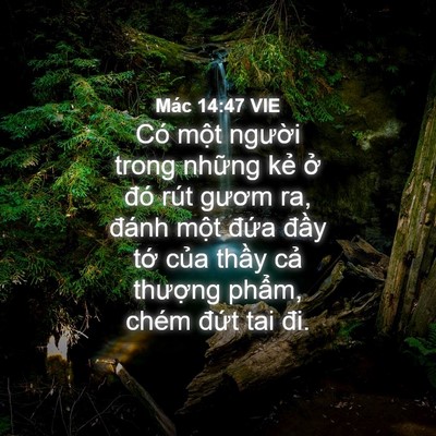 Picture 04 - Mác 14:47 VIE - Có một người trong những kẻ ở đó - Bible Verse Picture