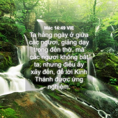 Picture 04 - Mác 14:49 VIE - Ta hằng ngày ở giữa các ngươi, giảng - Bible Verse Picture