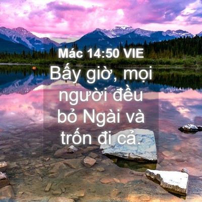Picture 04 - Mác 14:50 VIE - Bấy giờ, mọi người đều bỏ Ngài và - Bible Verse Picture