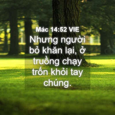 Picture 04 - Mác 14:52 VIE - Nhưng người bỏ khăn lại, ở truồng - Bible Verse Picture