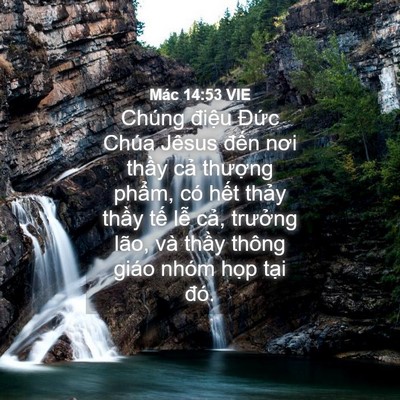 Picture 04 - Mác 14:53 VIE - Chúng điệu Đức Chúa Jêsus đến nơi - Bible Verse Picture