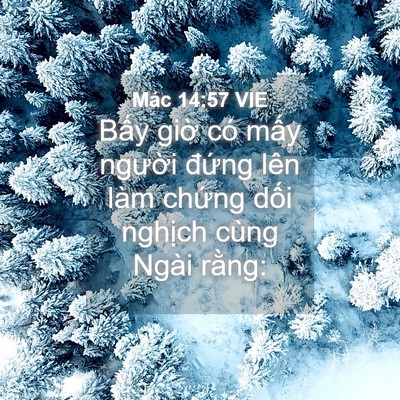 Picture 04 - Mác 14:57 VIE - Bấy giờ có mấy người đứng lên làm - Bible Verse Picture