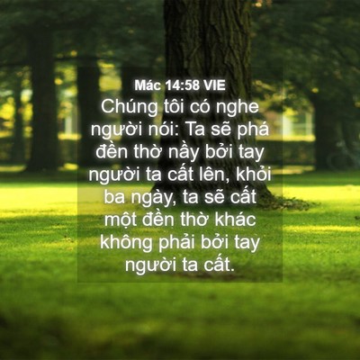 Picture 04 - Mác 14:58 VIE - Chúng tôi có nghe người nói: Ta sẽ phá - Bible Verse Picture