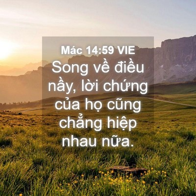 Picture 04 - Mác 14:59 VIE - Song về điều nầy, lời chứng của họ - Bible Verse Picture