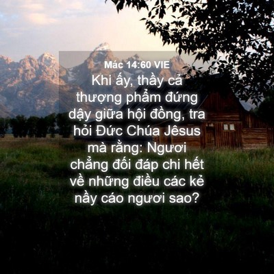 Picture 04 - Mác 14:60 VIE - Khi ấy, thầy cả thượng phẩm đứng - Bible Verse Picture