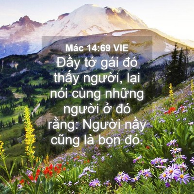 Picture 04 - Mác 14:69 VIE - Đầy tớ gái đó thấy người, lại nói - Bible Verse Picture