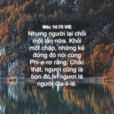 Picture 04 - Mác 14:70 VIE - Nhưng người lại chối một lần nữa. - Bible Verse Picture