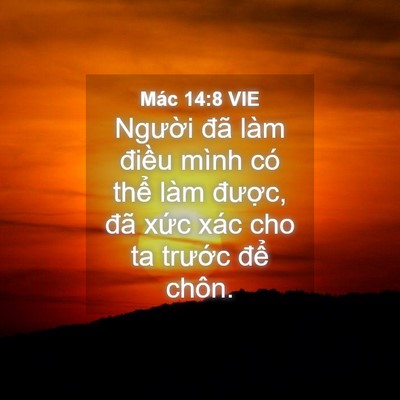 Picture 04 - Mác 14:8 VIE - Người đã làm điều mình có thể làm - Bible Verse Picture