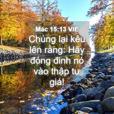 Picture 04 - Mác 15:13 VIE - Chúng lại kêu lên rằng: Hãy đóng đinh - Bible Verse Picture