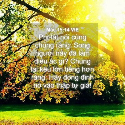 Picture 04 - Mác 15:14 VIE - Phi-lát nói cùng chúng rằng: Song người - Bible Verse Picture