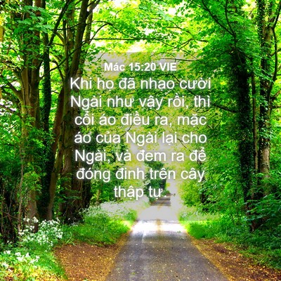 Picture 04 - Mác 15:20 VIE - Khi họ đã nhạo cười Ngài như vậy - Bible Verse Picture