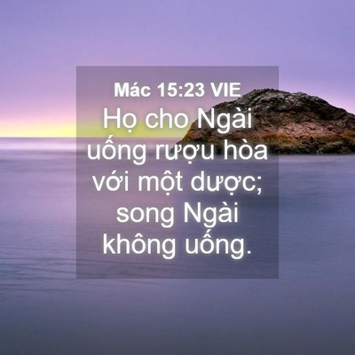 Picture 04 - Mác 15:23 VIE - Họ cho Ngài uống rượu hòa với một - Bible Verse Picture