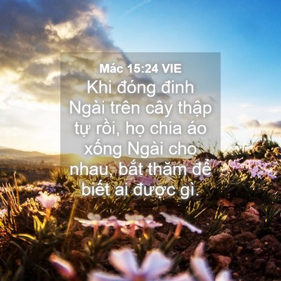 Picture 04 - Mác 15:24 VIE - Khi đóng đinh Ngài trên cây thập tự - Bible Verse Picture