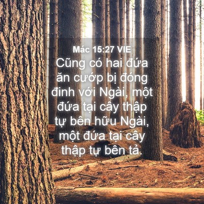 Picture 04 - Mác 15:27 VIE - Cũng có hai đứa ăn cướp bị đóng - Bible Verse Picture