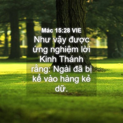 Picture 04 - Mác 15:28 VIE - Như vậy được ứng nghiệm lời Kinh - Bible Verse Picture