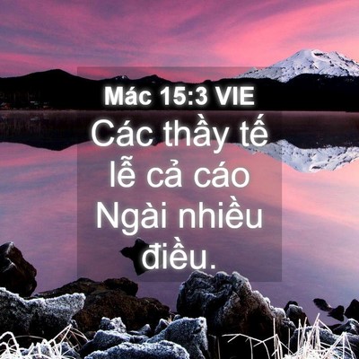 Picture 04 - Mác 15:3 VIE - Các thầy tế lễ cả cáo Ngài nhiều - Bible Verse Picture