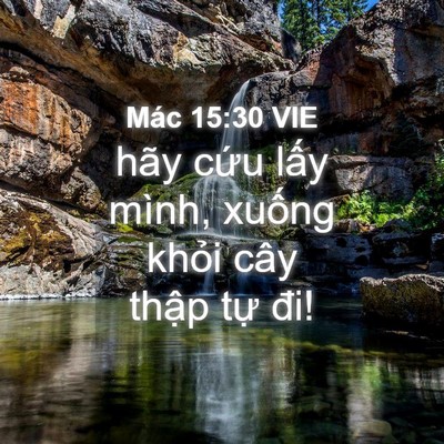 Picture 04 - Mác 15:30 VIE - hãy cứu lấy mình, xuống khỏi cây - Bible Verse Picture