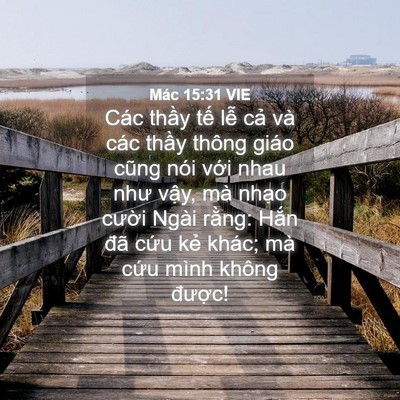 Picture 04 - Mác 15:31 VIE - Các thầy tế lễ cả và các thầy thông - Bible Verse Picture