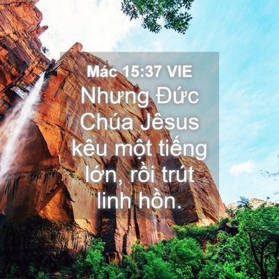 Picture 04 - Mác 15:37 VIE - Nhưng Đức Chúa Jêsus kêu một tiếng - Bible Verse Picture