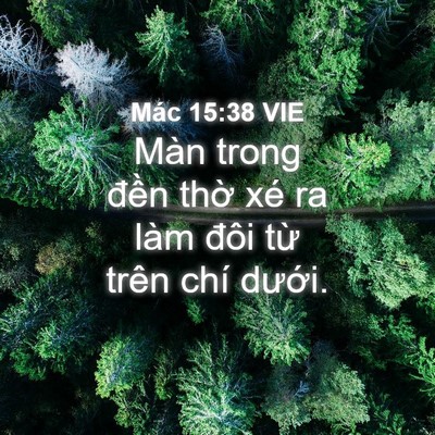 Picture 04 - Mác 15:38 VIE - Màn trong đền thờ xé ra làm đôi từ - Bible Verse Picture