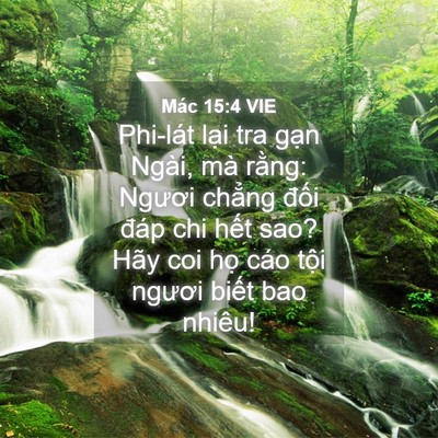 Picture 04 - Mác 15:4 VIE - Phi-lát lại tra gạn Ngài, mà rằng: - Bible Verse Picture