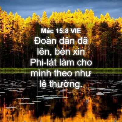 Picture 04 - Mác 15:8 VIE - Đoàn dân đã lên, bèn xin Phi-lát làm cho - Bible Verse Picture
