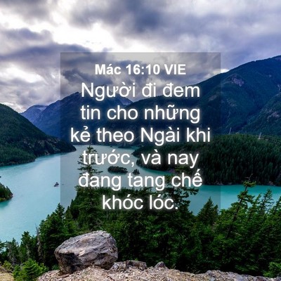 Picture 04 - Mác 16:10 VIE - Người đi đem tin cho những kẻ theo Ngài - Bible Verse Picture