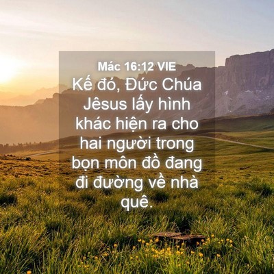 Picture 04 - Mác 16:12 VIE - Kế đó, Đức Chúa Jêsus lấy hình khác - Bible Verse Picture