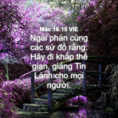 Picture 04 - Mác 16:15 VIE - Ngài phán cùng các sứ đồ rằng: Hãy - Bible Verse Picture