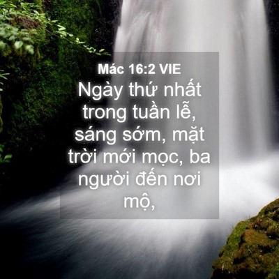 Picture 04 - Mác 16:2 VIE - Ngày thứ nhất trong tuần lễ, sáng - Bible Verse Picture