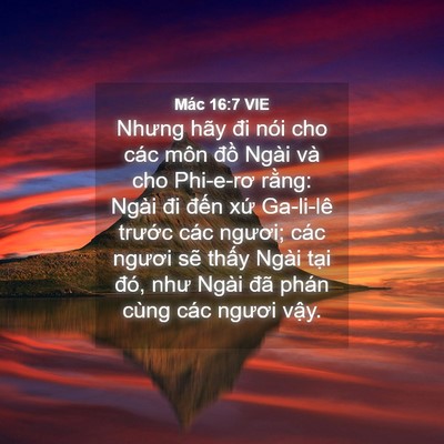 Picture 04 - Mác 16:7 VIE - Nhưng hãy đi nói cho các môn đồ Ngài - Bible Verse Picture
