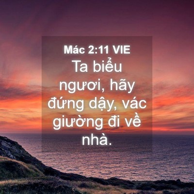 Picture 04 - Mác 2:11 VIE - Ta biểu ngươi, hãy đứng dậy, vác - Bible Verse Picture