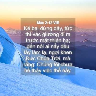 Picture 04 - Mác 2:12 VIE - Kẻ bại đứng dậy, tức thì vác - Bible Verse Picture