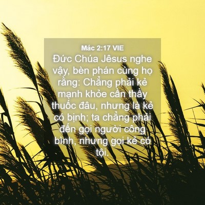 Picture 04 - Mác 2:17 VIE - Đức Chúa Jêsus nghe vậy, bèn phán cùng - Bible Verse Picture