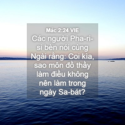 Picture 04 - Mác 2:24 VIE - Các người Pha-ri-si bèn nói cùng Ngài - Bible Verse Picture