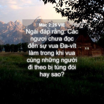 Picture 04 - Mác 2:25 VIE - Ngài đáp rằng: Các ngươi chưa đọc - Bible Verse Picture
