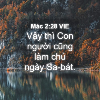 Picture 04 - Mác 2:28 VIE - Vậy thì Con người cũng làm chủ ngày - Bible Verse Picture
