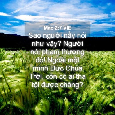Picture 04 - Mác 2:7 VIE - Sao người nầy nói như vậy? Người nói - Bible Verse Picture