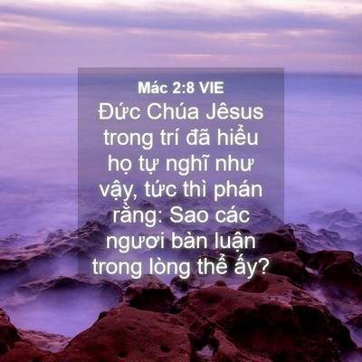Picture 04 - Mác 2:8 VIE - Đức Chúa Jêsus trong trí đã hiểu họ - Bible Verse Picture